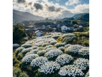 大理旅游什么季节最适宜？