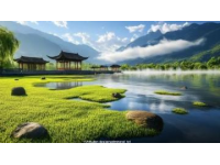 2025年泸沽湖之旅: 云南最美湖泊的夏天行程指南