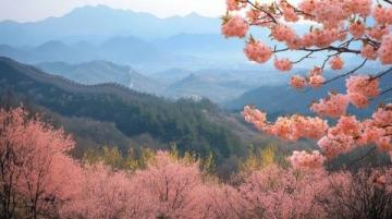 中国最美的春天——这5个小众旅行地,等你来惊艳