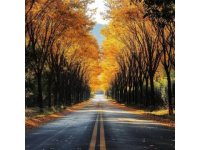 京郊自驾赏秋景，美景如画在路上