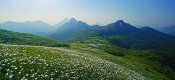 山东春季旅游攻略:赏花、探秘文化与自然美景