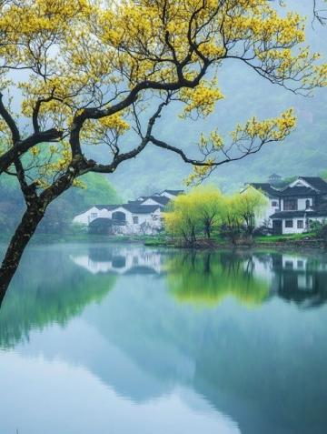 山东春季旅游攻略:赏花、探秘文化与自然美景