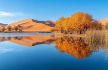 宁夏必游:探秘11大美景,深度游宁夏攻略