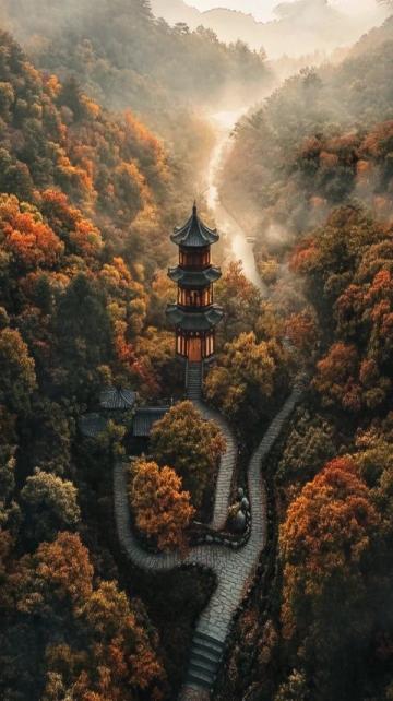 河南老君山旅游攻略:探寻道教圣境与绝美风光