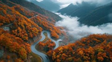 桐庐大奇山国家森林公园(桐庐大奇山国家森林公园必去景点)