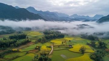 桐庐大奇山国家森林公园(桐庐大奇山国家森林公园必去景点)