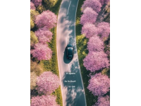 皖南春游必看！4条无门票山水自驾路线推荐