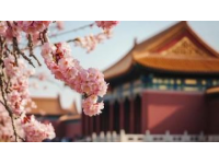 日照2025年春游指南