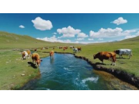 走遍中国-大美青海甘肃行（超多美图）