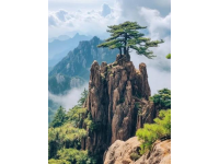 探寻黄山的魅力之旅：安庆出发旅游指南