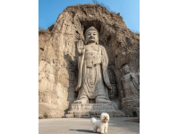 探秘云南石林：喀斯特奇观与彝乡风情之旅