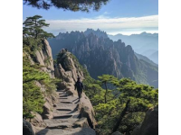以下黄山旅游攻略基于最新信息整理，涵盖最佳时间、必玩景点、路线规划及实用贴士