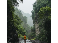 探索河南济源：揭秘中国猴山，与3800野生猕猴亲密互动的4A景区奇观