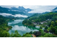 云南腾冲银杏村:自然奇观与人文韵律的完美融合