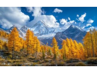 稻城亚丁自驾游攻略：避开陷阱，尽享美景