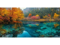 2023国庆自驾之旅：九寨沟-黄龙深度体验攻略