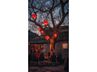 云南春节旅行回顾：玉龙雪山与丽江古城相遇