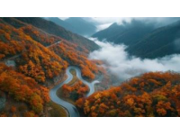 桐庐大奇山国家森林公园(桐庐大奇山国家森林公园必去景点)