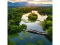三门峡陕州八处秘境：地坑院与天鹅湖等小众美景探秘