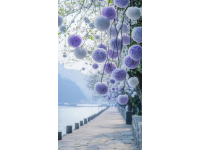 春暖花开的重庆：一场美丽的花海
