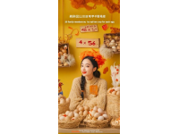 合肥旅游美食攻略：用五大创作原则打造爆款文章