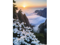 安徽旅游攻略别再去黄山人挤人了！这5个小众秘境美到窒息