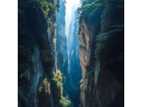 奉节天坑地缝之旅:探索奇迹洞窟与自然风景