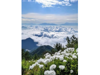 北方山脉风光探秘：今日之星校园计划旅行推荐
