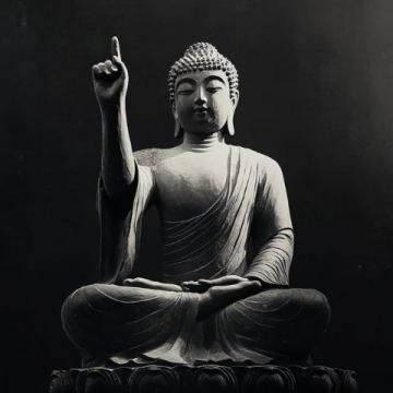佛说:别把自己太当回事,其实我们都是生活的配角!
