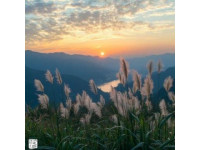 江西阳明山国家森林公园旅游攻略及景点介绍