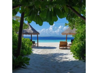 马尔代夫阿雅达岛蜜月婚礼旅行攻略:最详细的干货指南