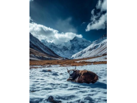 新疆春季仍处旅游淡季，春雪未融寒意浓