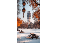 重庆旅行攻略看这个就够了！3天2夜玩转8D魔幻山城！