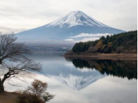 富士山之旅：河口湖与山中湖，如何抉择最佳目的地？