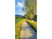 索溪峪旅游攻略景点交通行程全指南