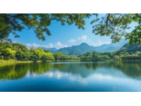 千岛湖精华体验：独拥天屿山的绝美风光之旅