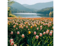 江西三月旅游指南：春游赣鄱赏花品美食