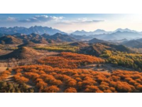 探秘济南灵岩大佛山景区的魅力之旅