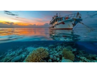 必看海洋光谱号游轮旅游实用攻略（上）