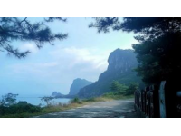 海南避坑攻略(海南本地人的完整避坑攻略超详细景区解读)