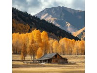 稻城亚丁之旅：详尽行程与避雷秘籍