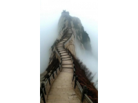 详细的老君山旅游攻略：交通、门票、住宿、美食全涵盖