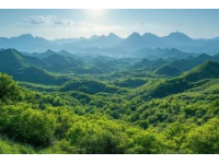 腾冲来凤山国家森林公园探秘：茂密森林与历史遗迹之旅