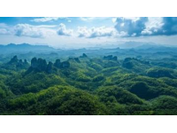 四月游福建：武夷山鼓浪屿等热门景点旅游攻略