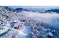 西藏自驾游路线推荐：穿越雪域高原的极致体验