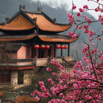 春天去重庆,是一次充满生机与惊喜的旅行,这座山城在春日里褪去了冬日的寒意