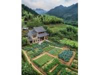 徽州坡山深度游指南：探索安徽歙县隐秘古村