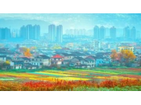 贵州春季旅游攻略：最佳出行季候及五日四晚游玩路线指南