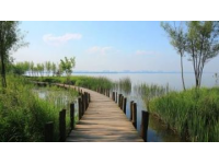 河南嵩县陆浑景区深度游：探索中原自然风光与文化古韵的绝佳之旅