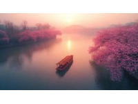揭秘湖北隐秘花海，盛世闻樱等你赏樱之旅